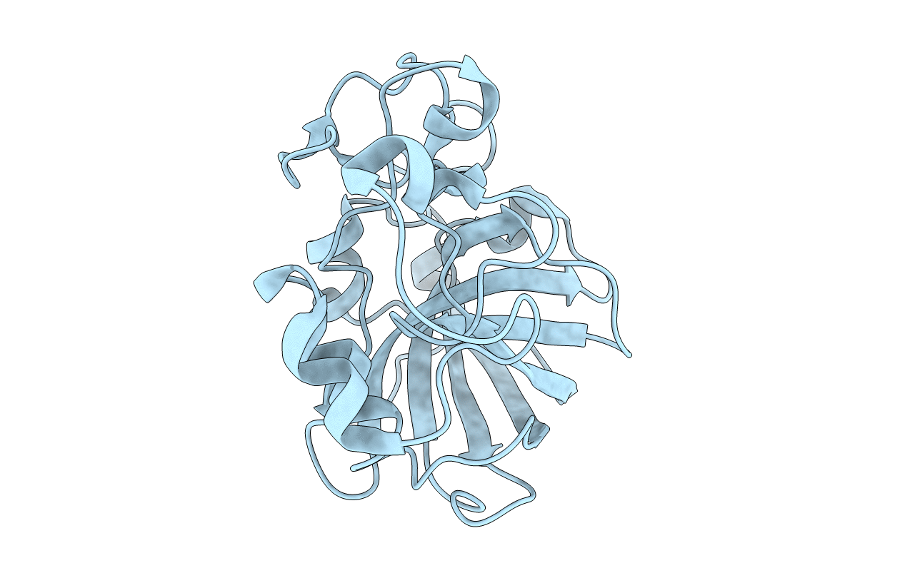 6MVI image