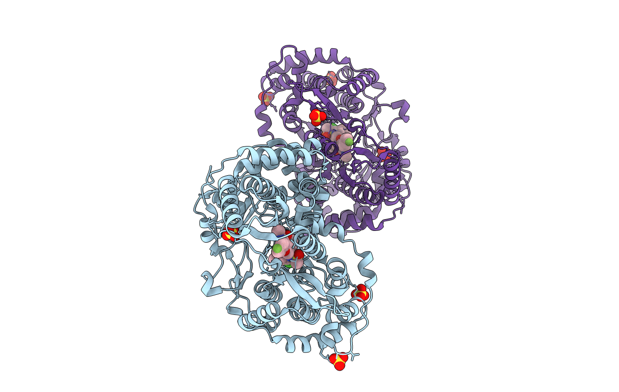 6MVO image
