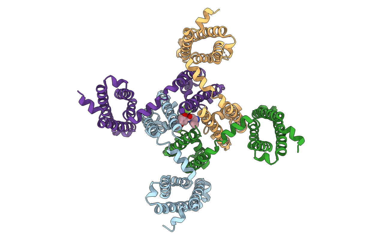 6MVX image