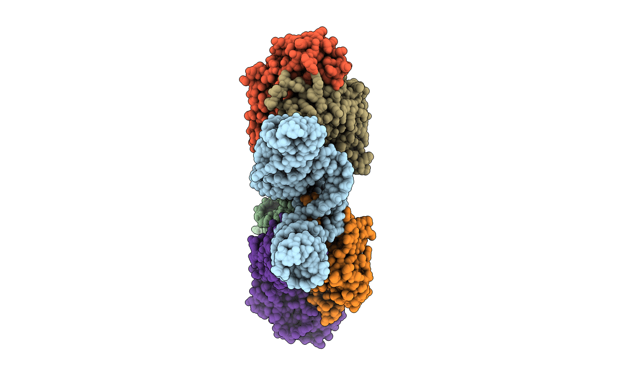 6MWN image