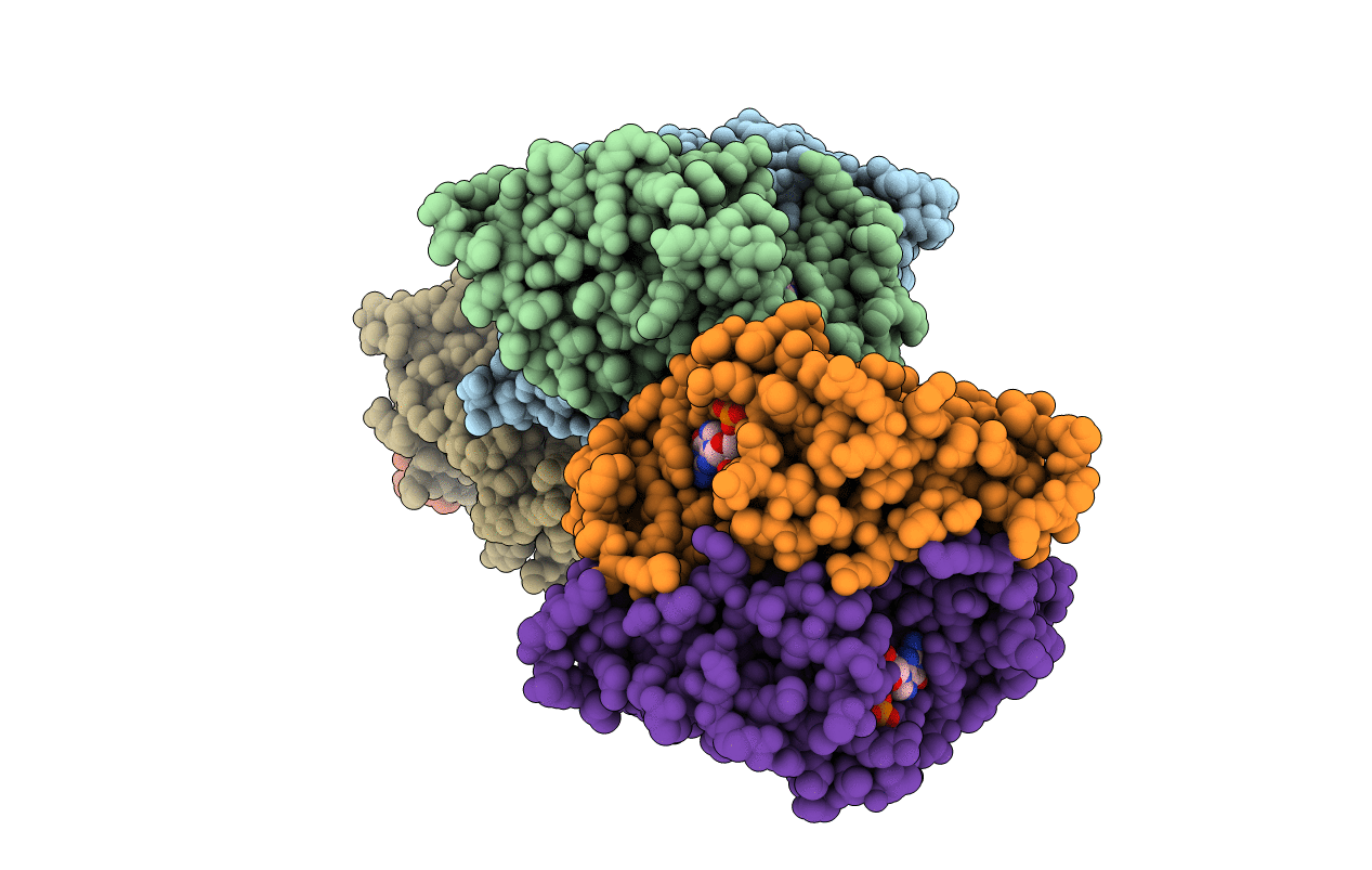6MXC image