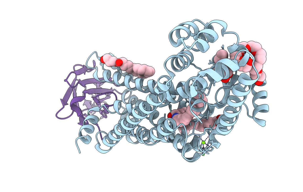 6MXT image