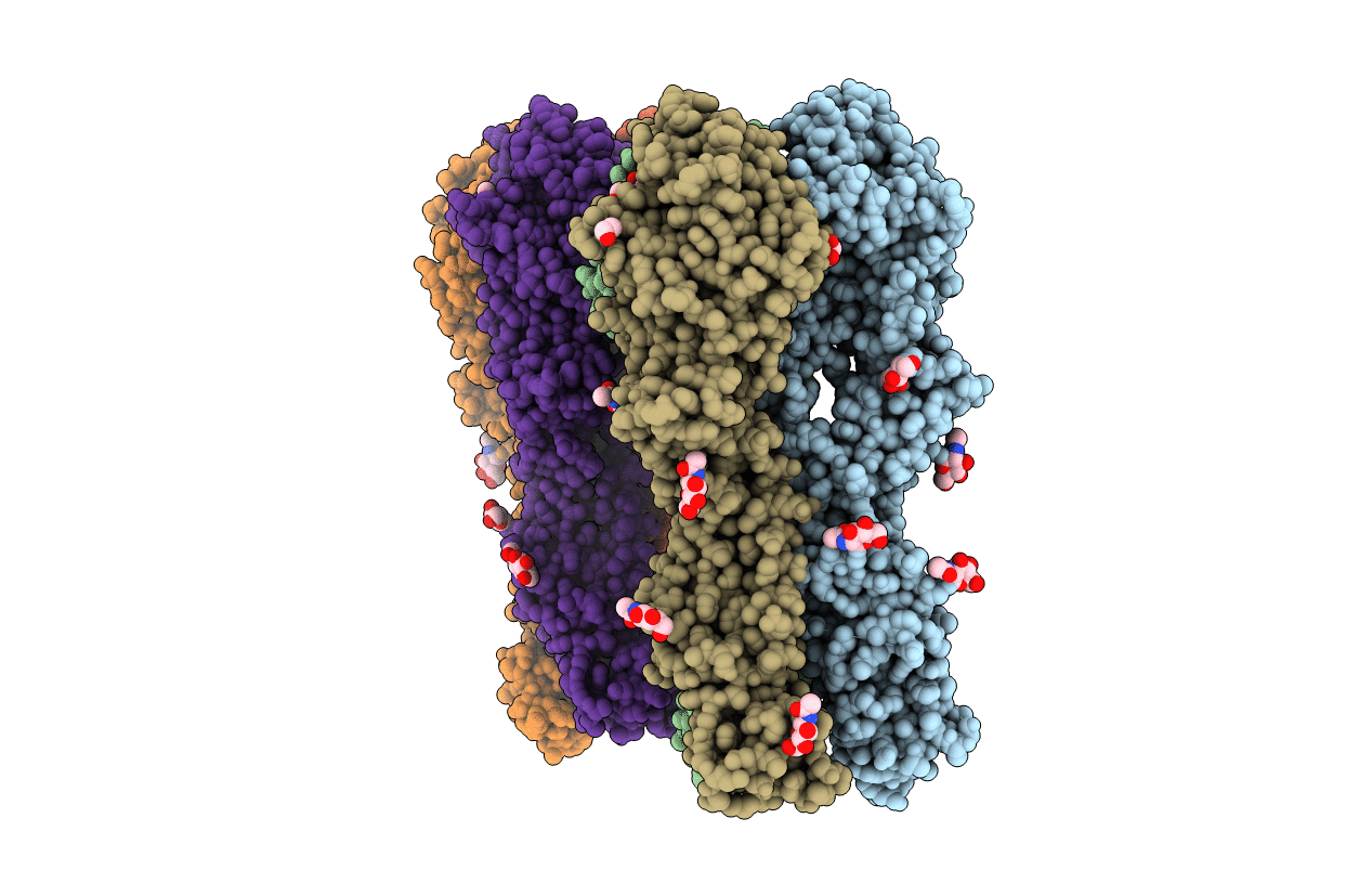 6MYA image
