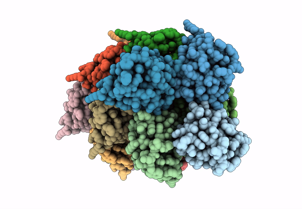 6N1H image