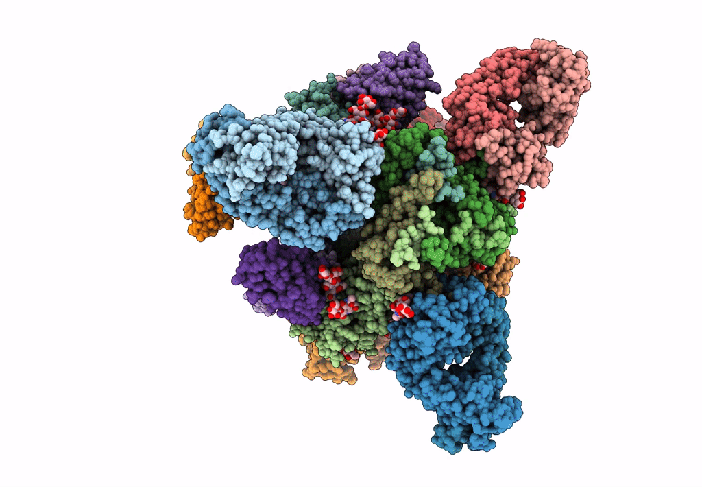 6N1V image