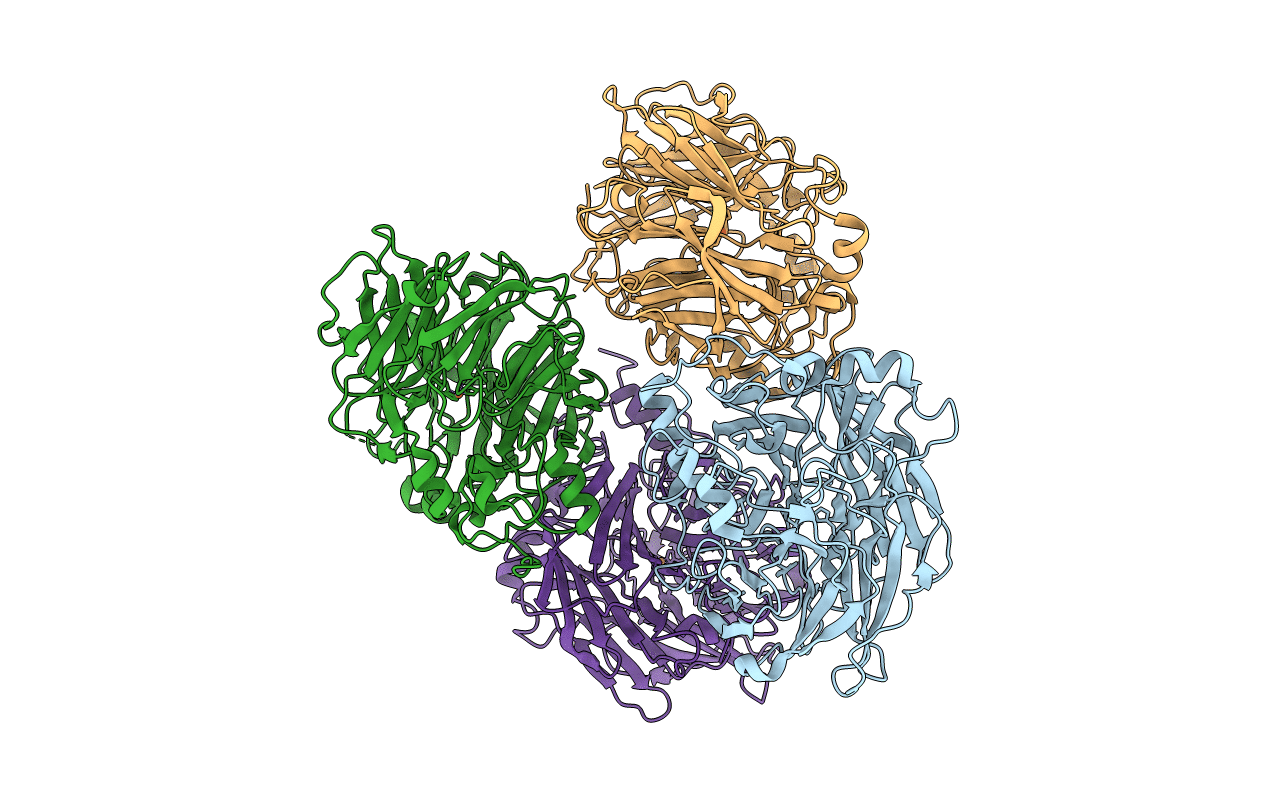 6N20 image
