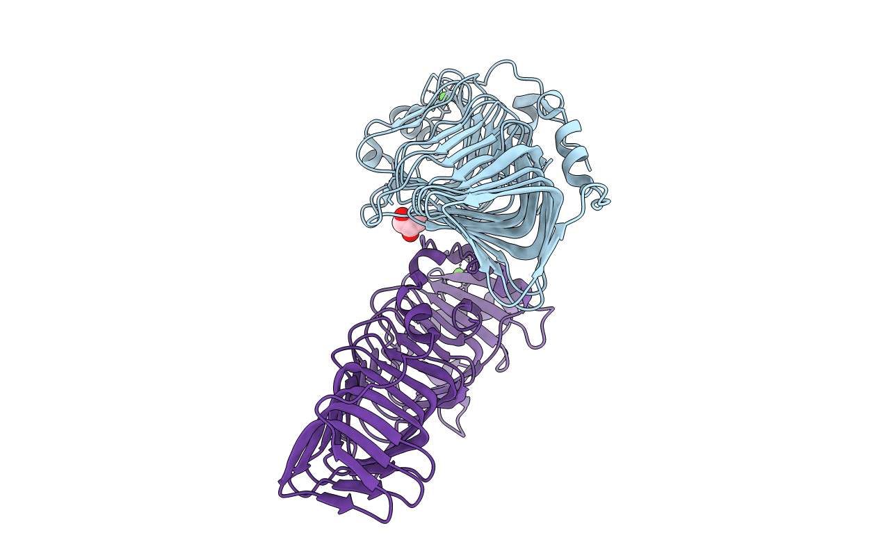 6N2B image