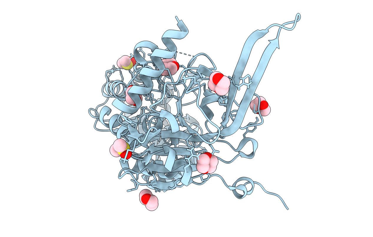 6N2H image