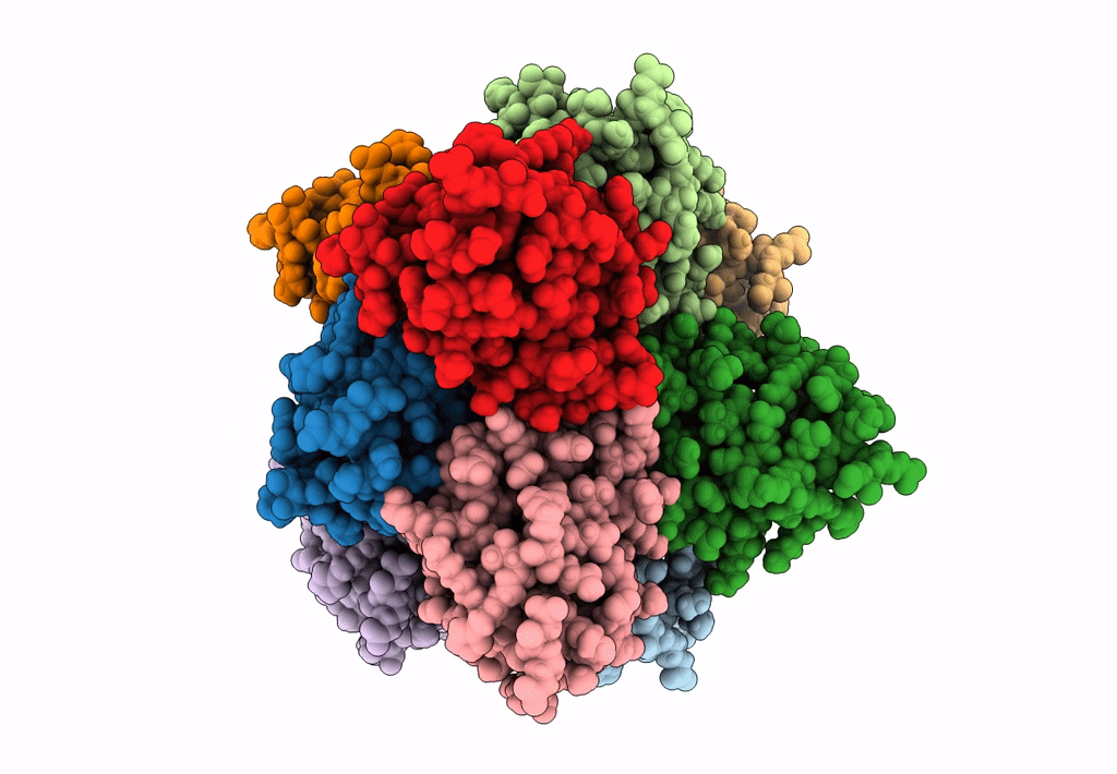 6N2P image
