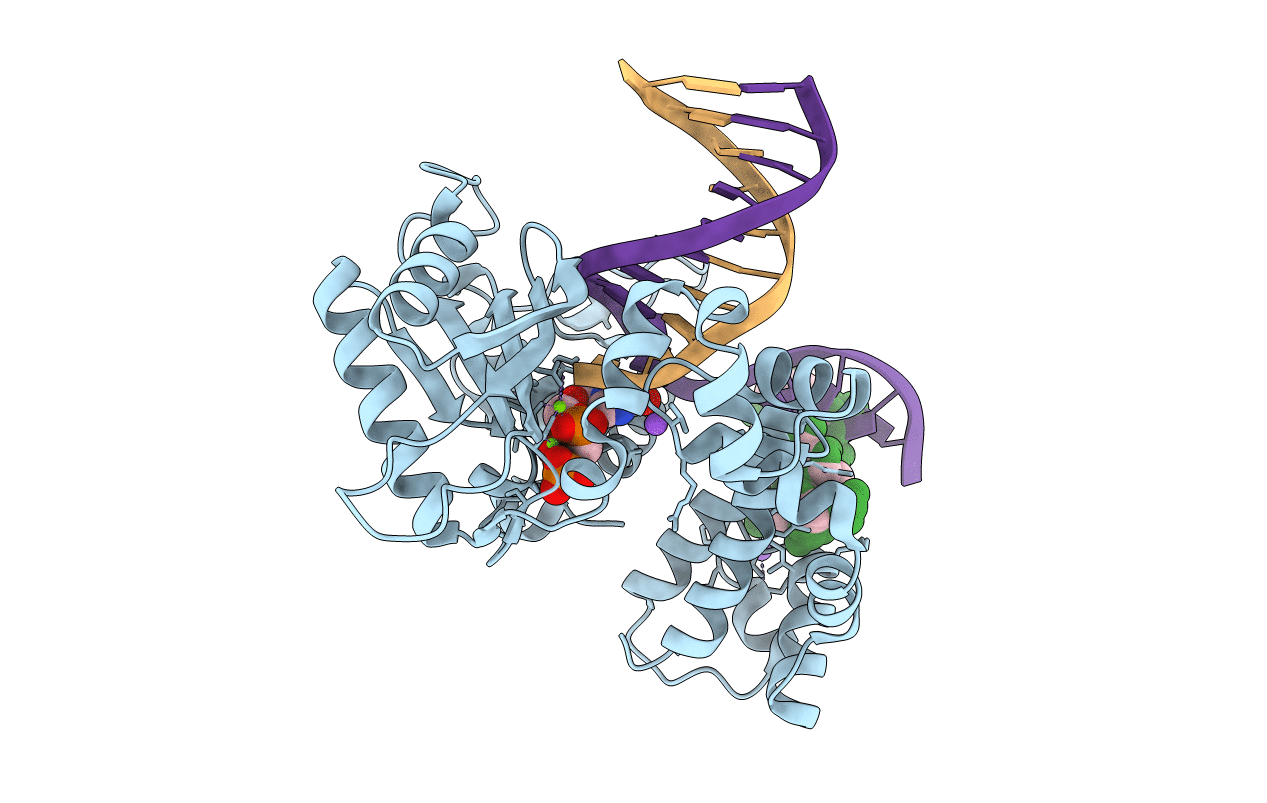 6N2S image