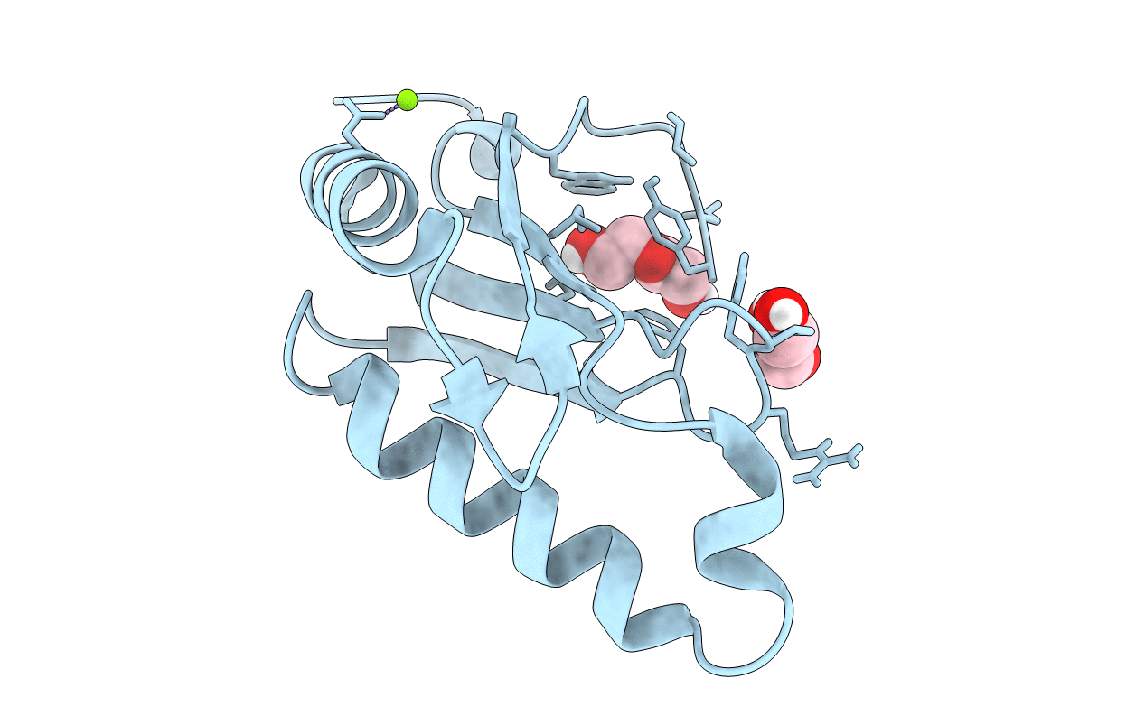 6N3D image