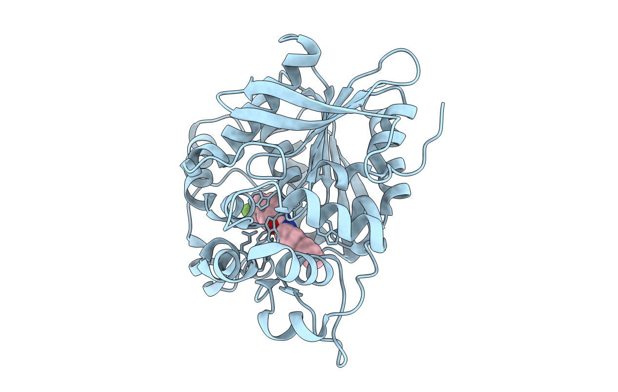 6N3K image