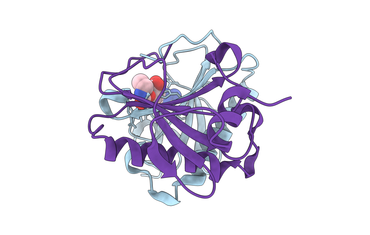 6N3V image