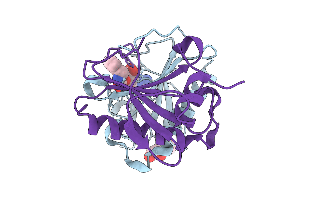 6N3X image