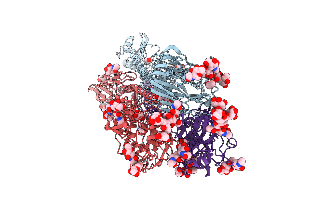 6N41 image