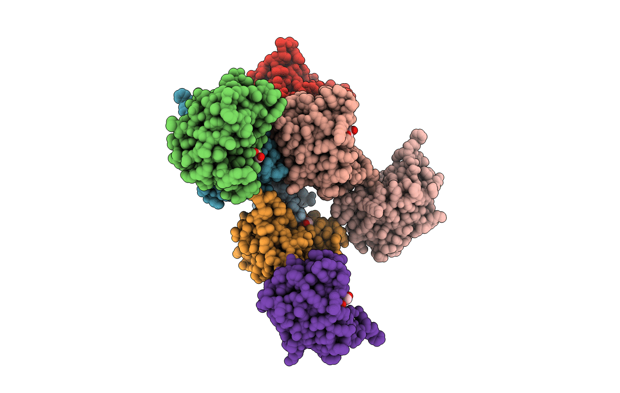 6N44 image