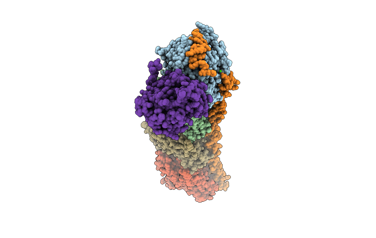 6N47 image