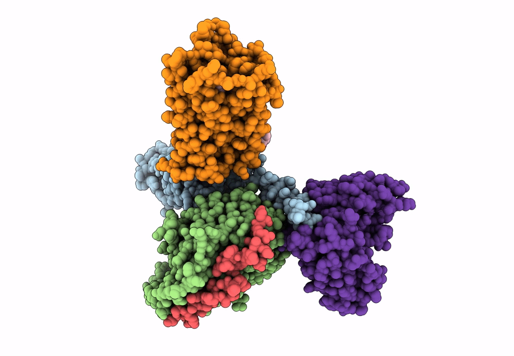 6N4B image