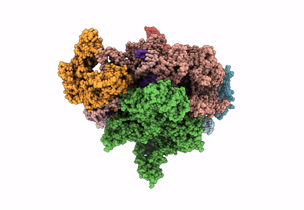 6N4C image