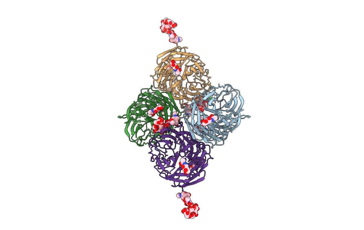 6N4D image