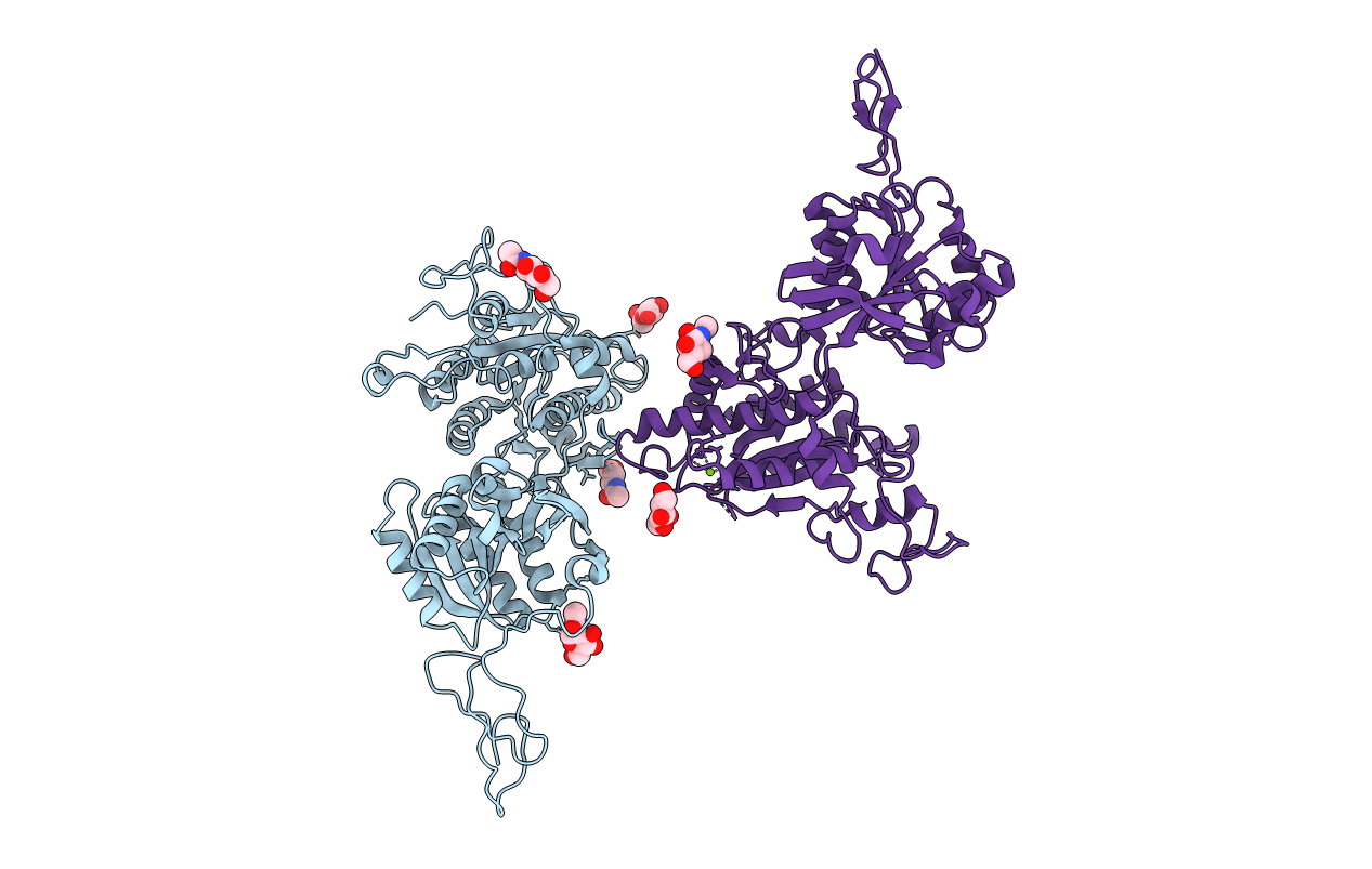 6N4X image