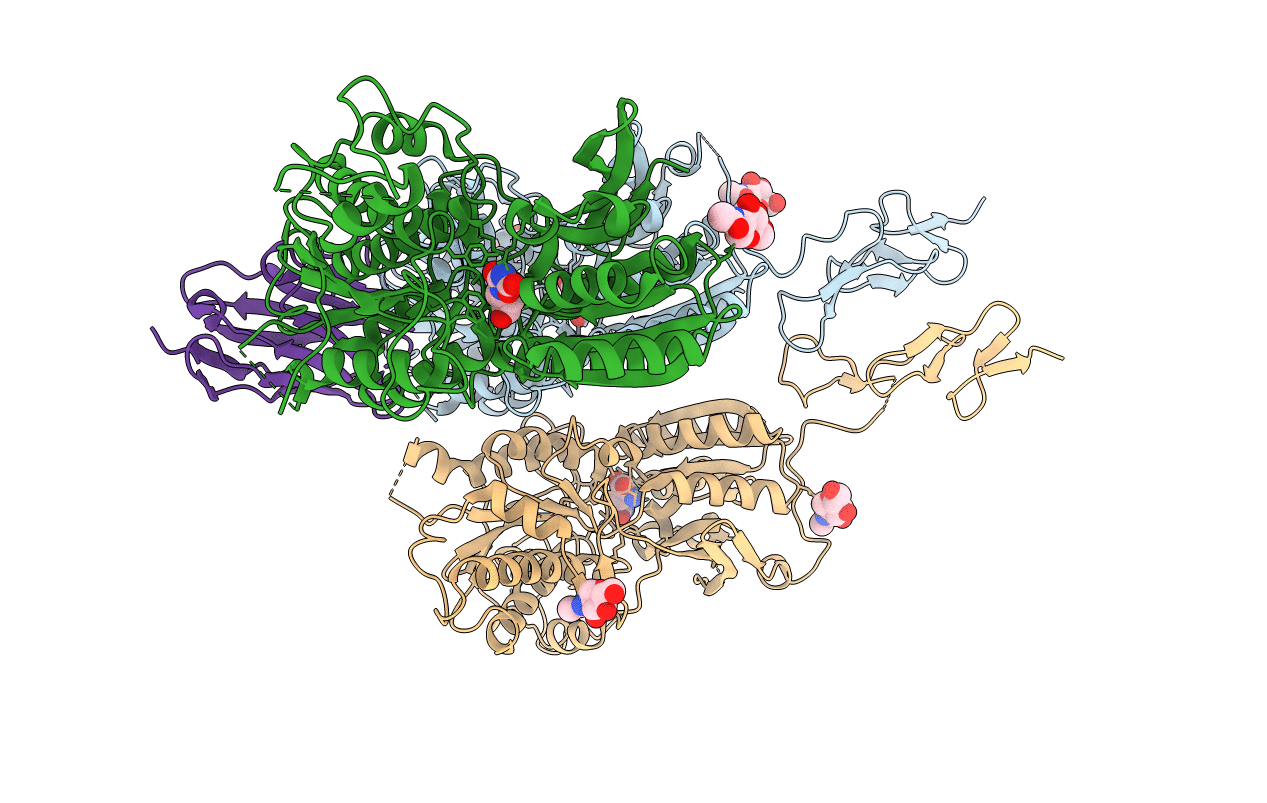 6N50 image