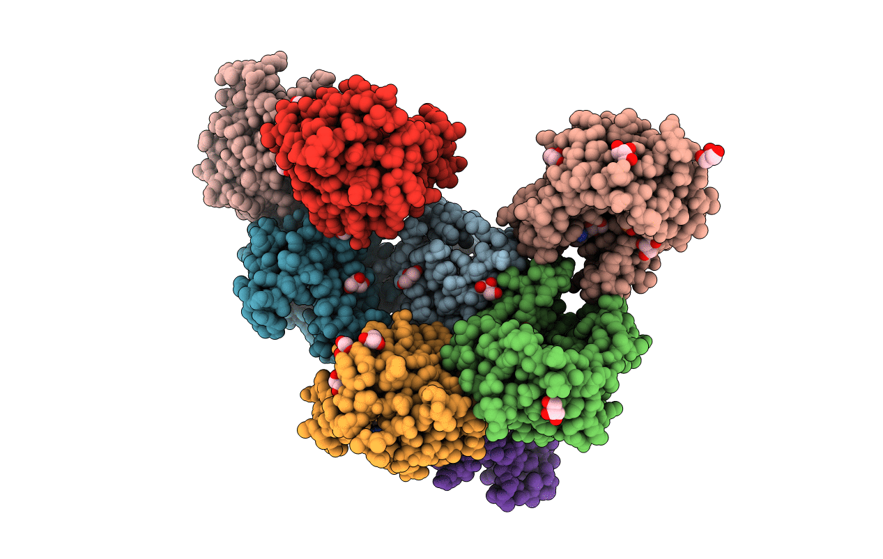 6N55 image