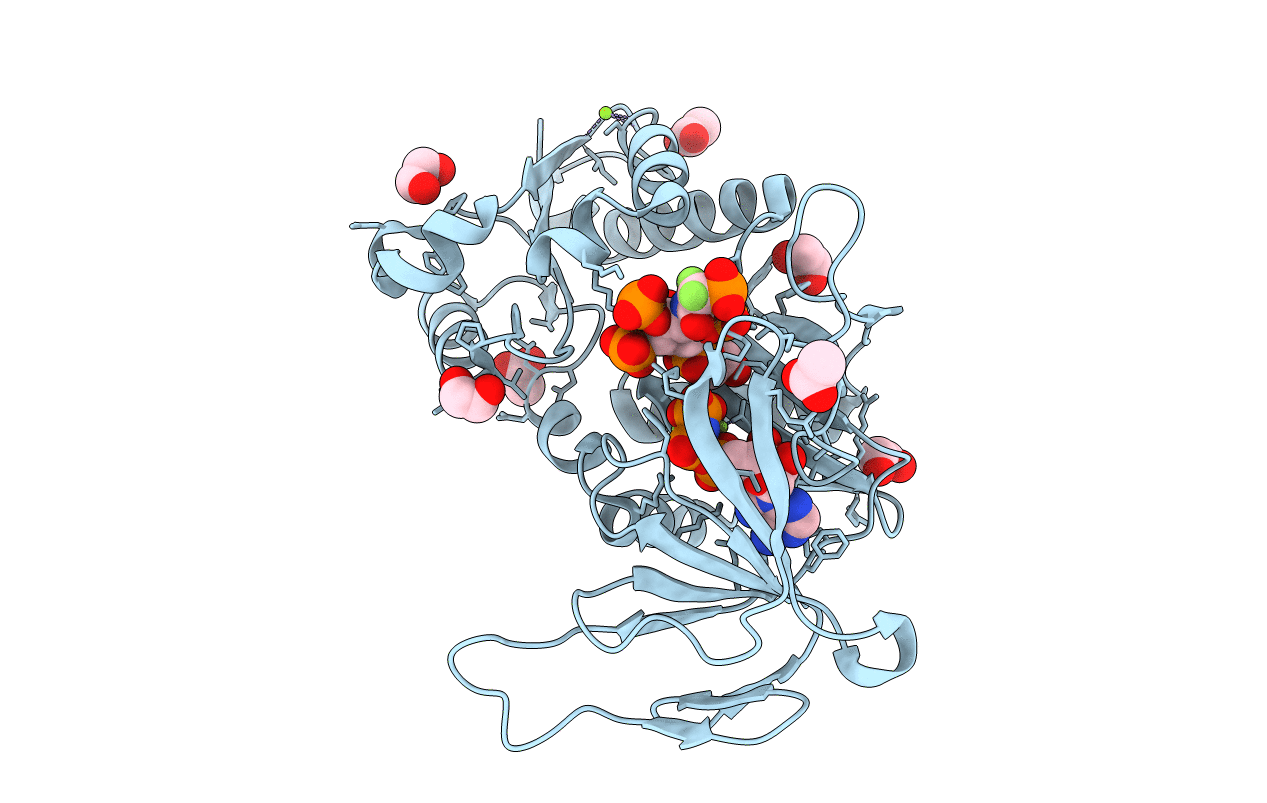 6N5C image