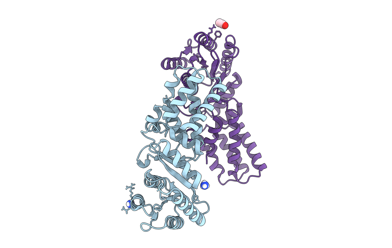 6N5J image