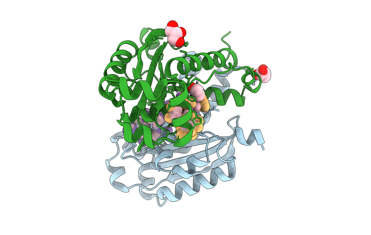 6N6I image