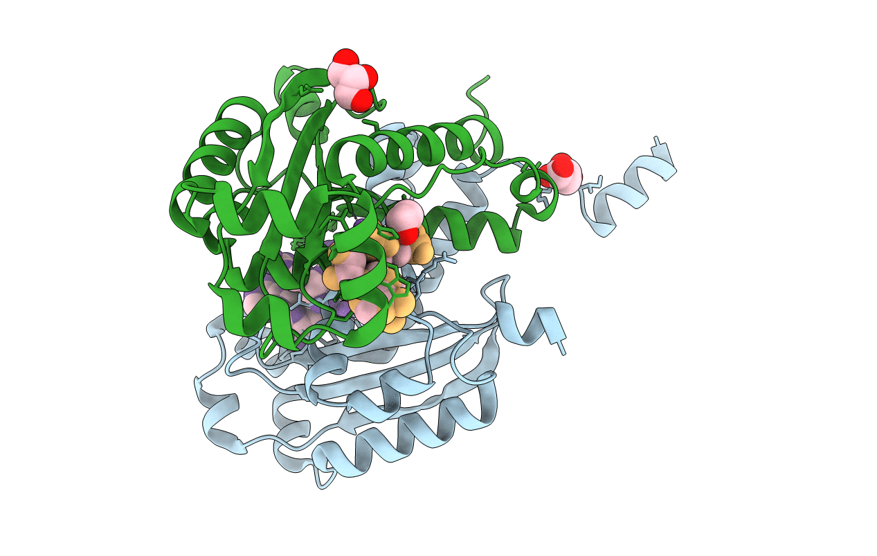 6N6J image