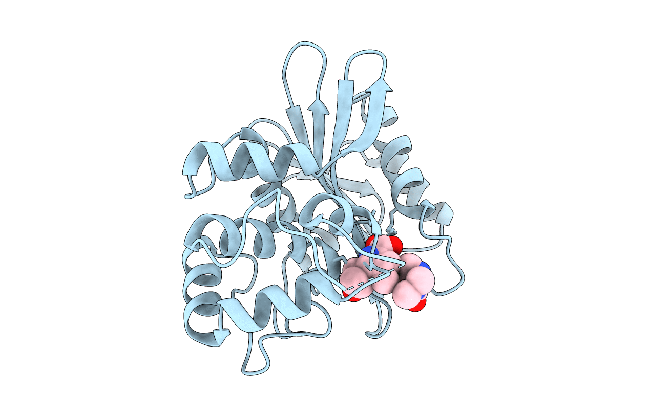 6N6V image
