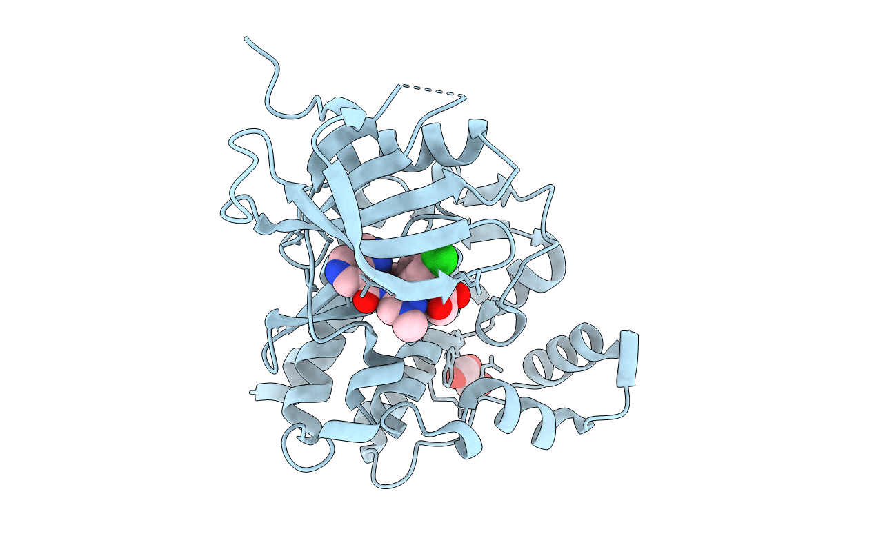 6N7B image