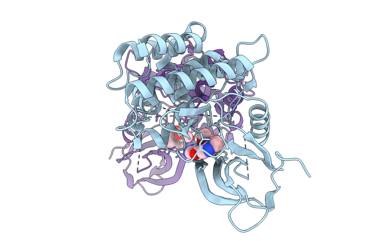 6N7C image