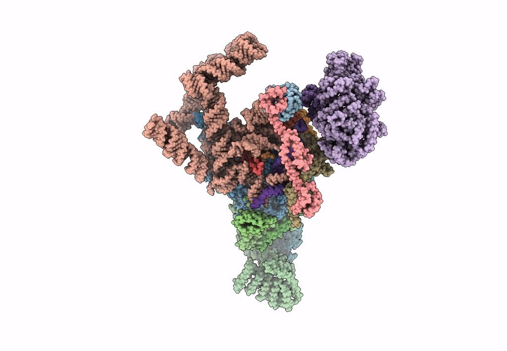 6N7P image