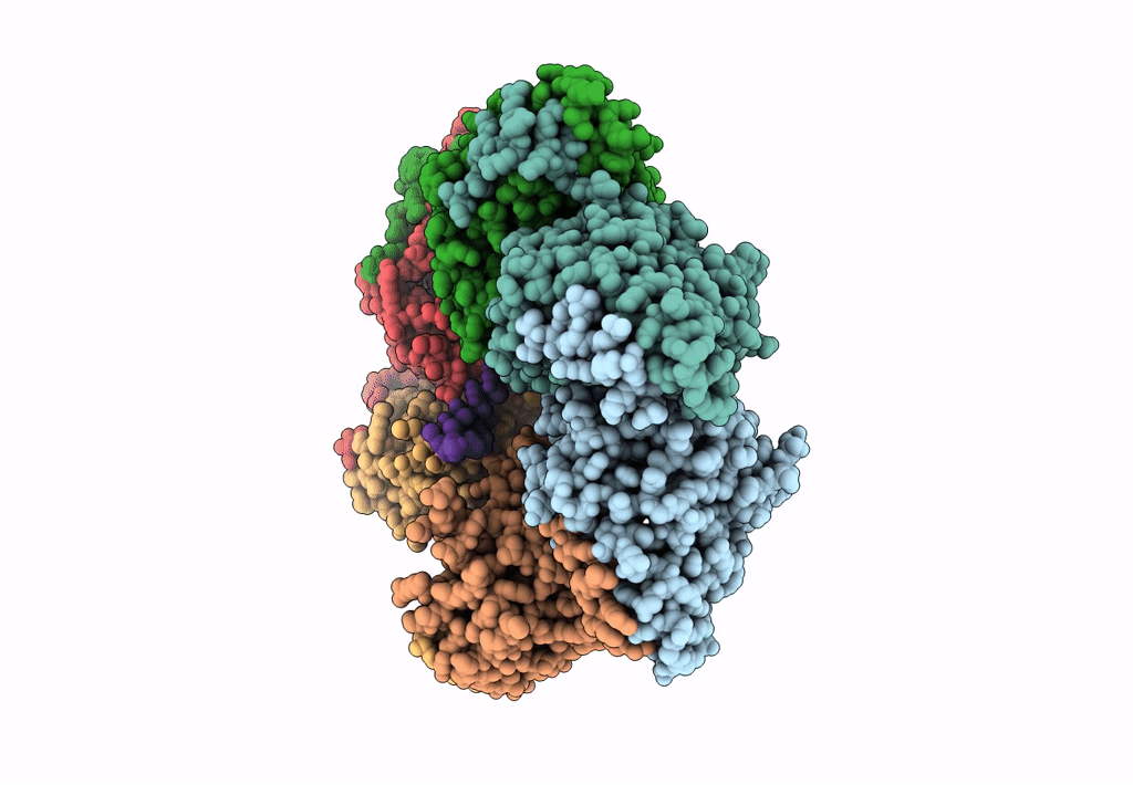 6N7S image