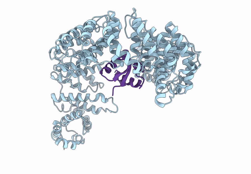 6N89 image
