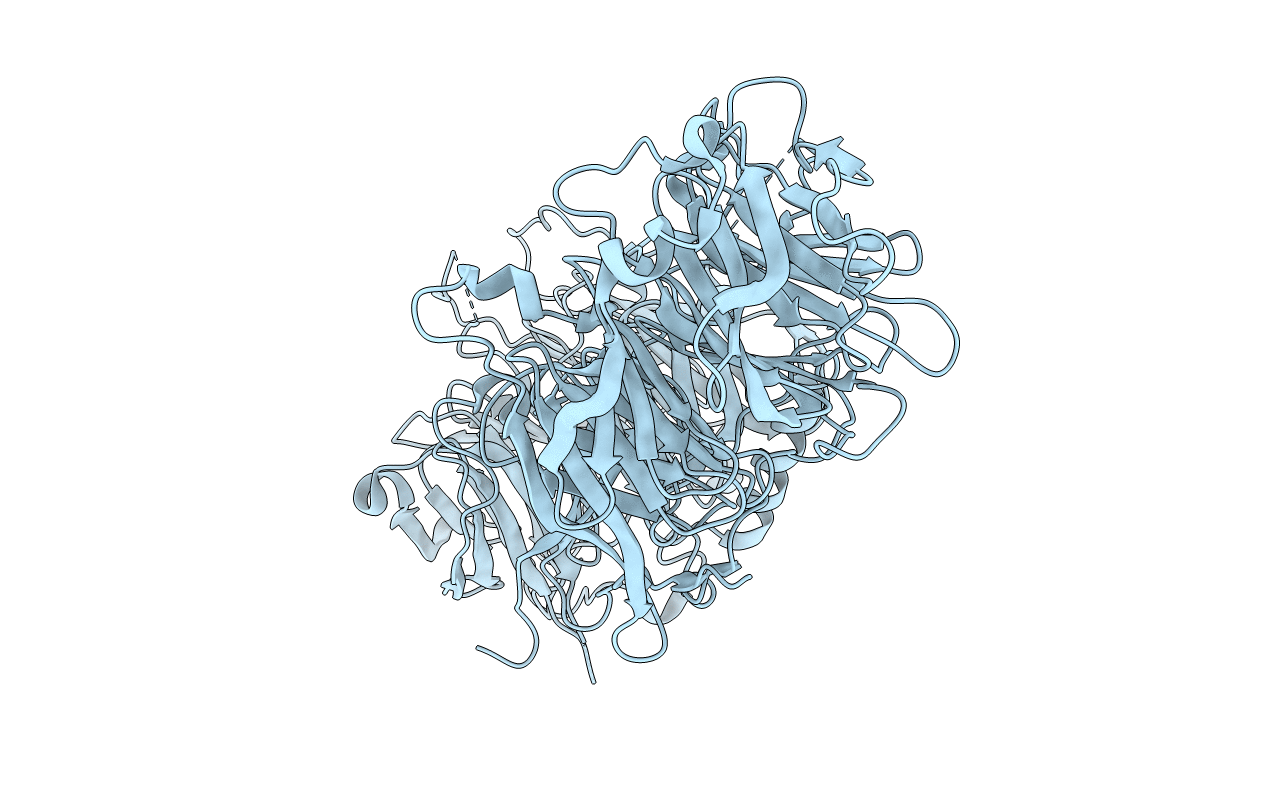 6N8P image