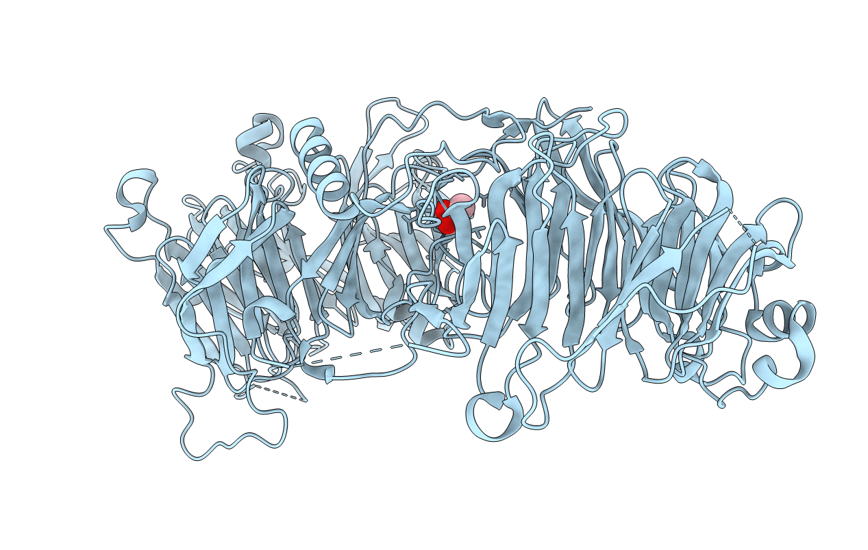 6N8R image