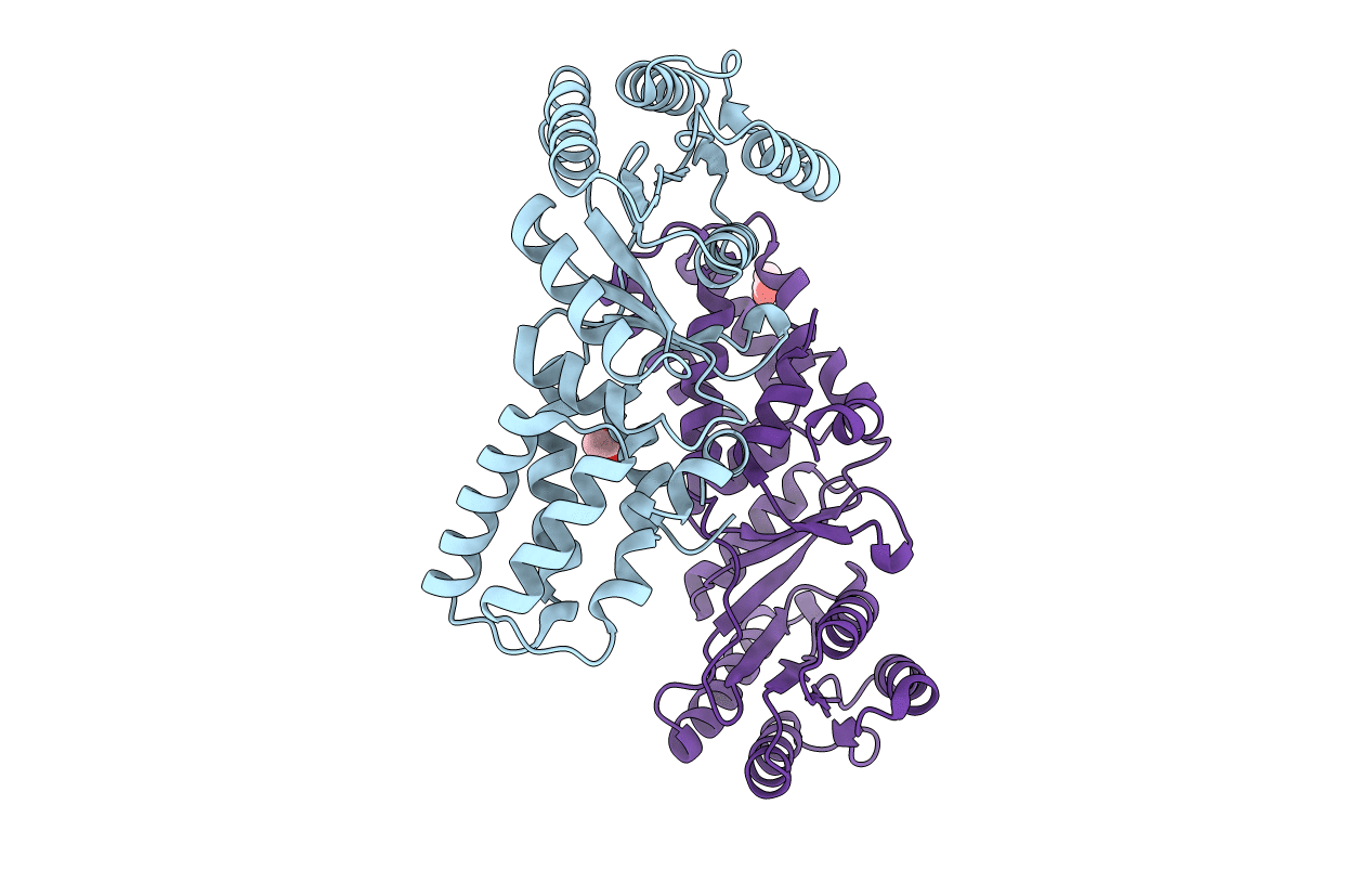 6N9B image