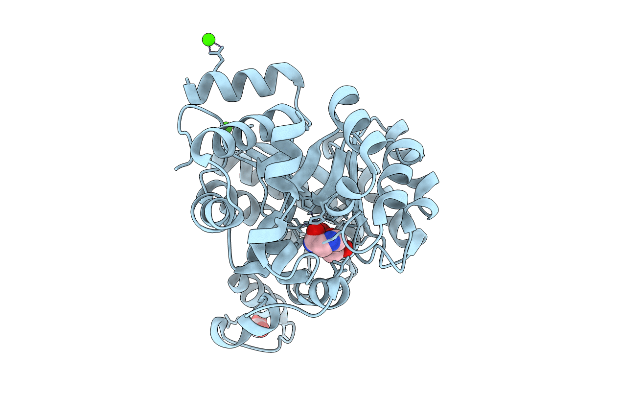 6N9M image