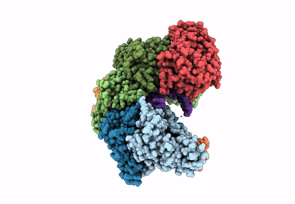 6N9X image