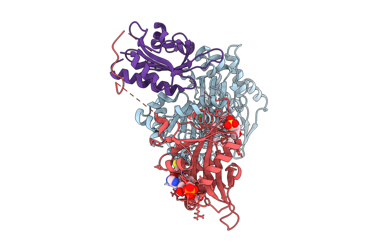 6NBE image