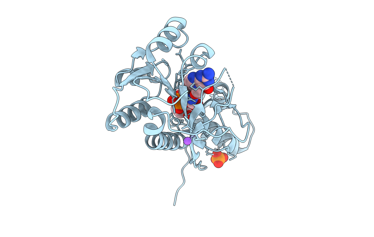 6NBP image