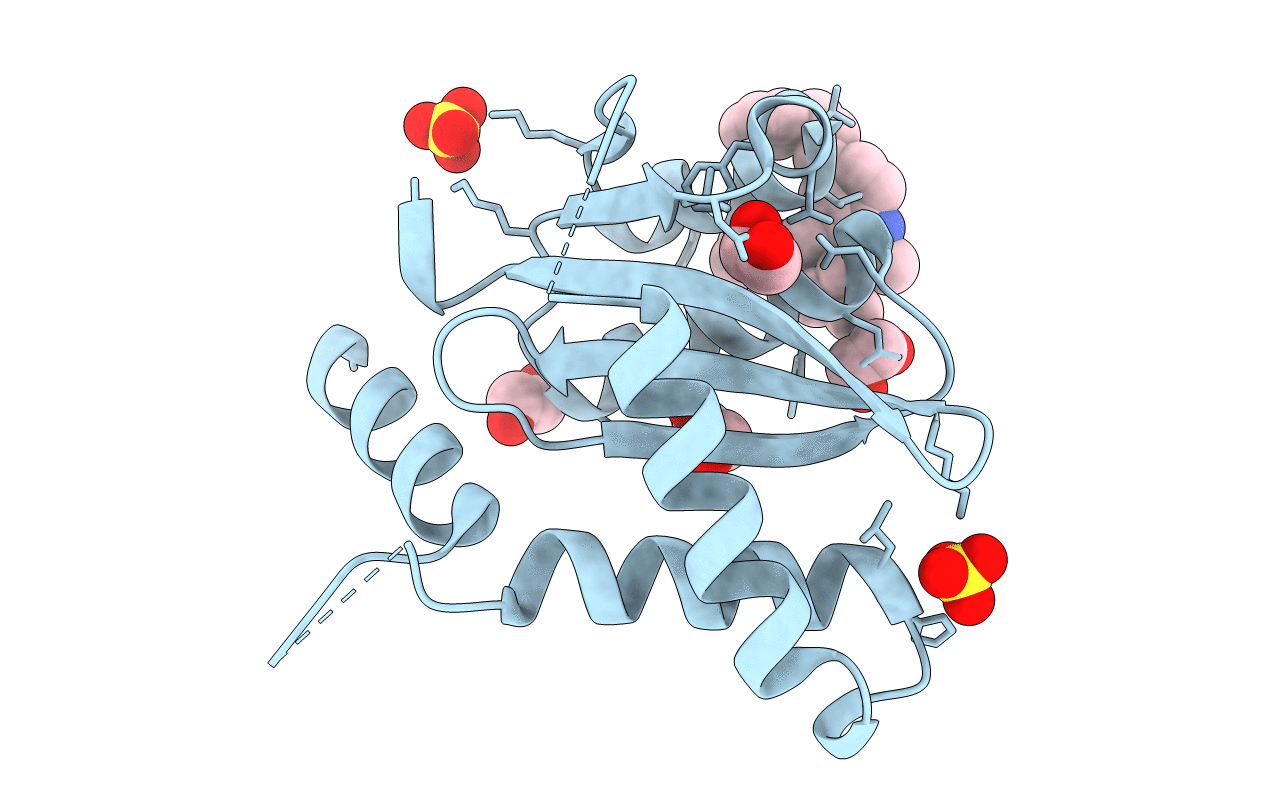 6NCJ image