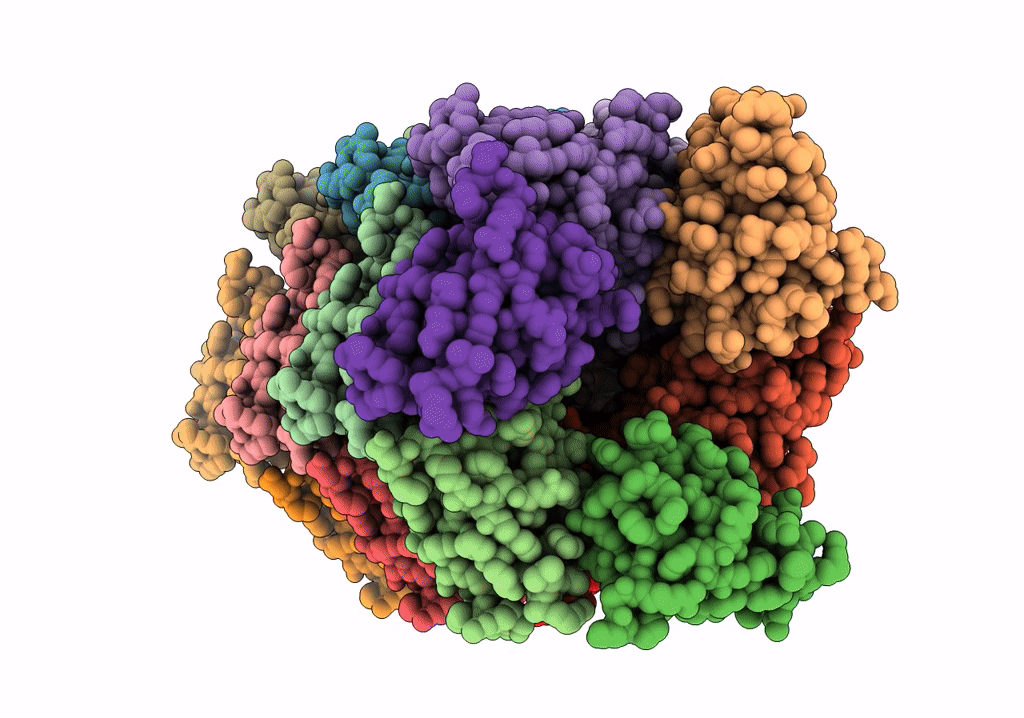 6NCV image