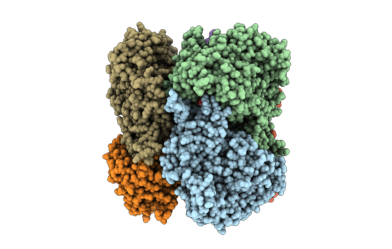 6NCZ image