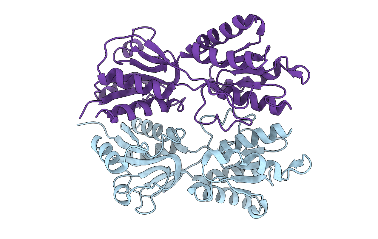 6NDI image