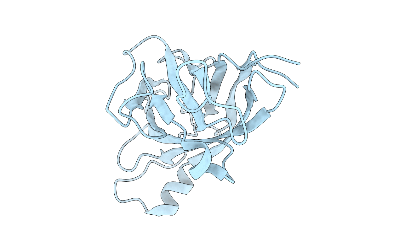 6NDV image