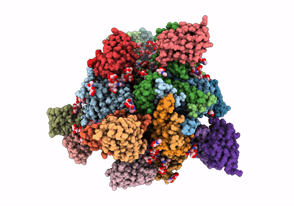 6NF2 image